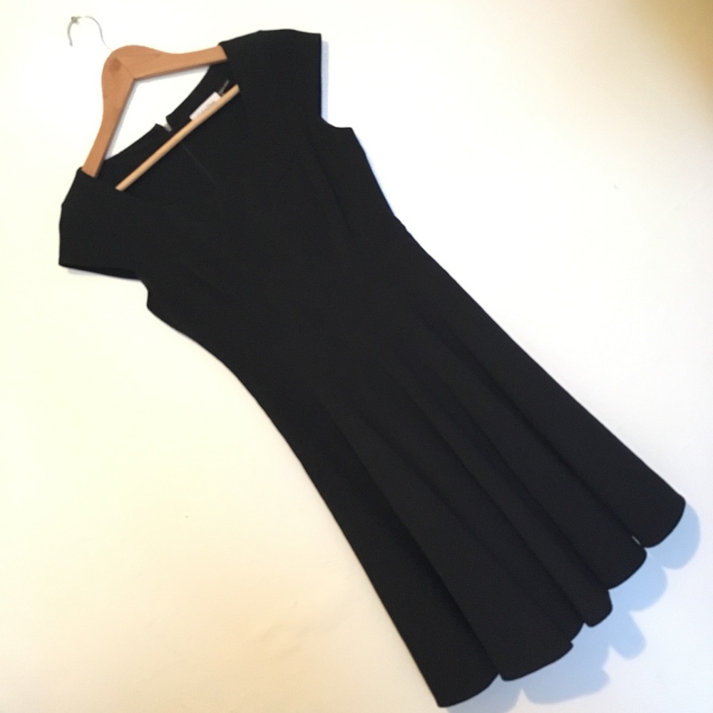 Perfect Calvin Klein Fit & Flare LBD!